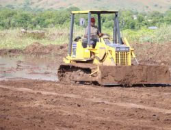 Nagekeo Bidik Swasembada Pangan Nasional