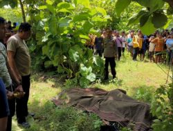 Penemuan Mayat Mahasiswa di Naimata, Diduga Gantung Diri