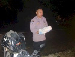 Jenazah Bayi Utuh Ditemukan di Antara Ranting Pohon