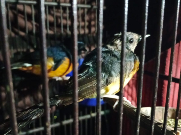 IMG 20250226 WA0006