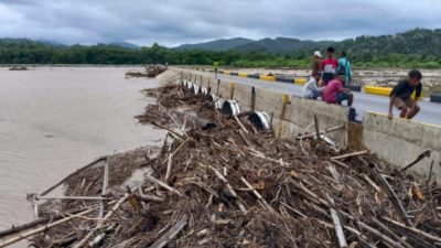 image 750x 679cd62217eda