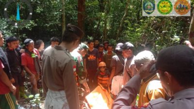 IMG 20250319 WA0011 1