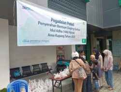Rayakan Idul Adha 1446 H, PT.Pegadaian Area Kupang sembelih hewan kurban untuk masyarakat 