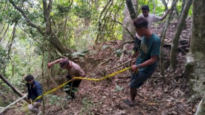 image 750x 6839040c3dcf2