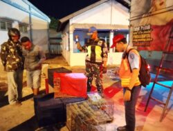 Aparat Gabungan Gagalkan Pengangkutan 1260 burung Satwa Liar Dilindungi melalui Pelabuhan Lorens Say,Sikka
