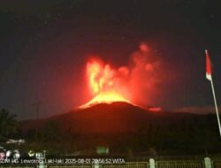 Erupsi Gunung Lewotobi Laki-Laki, Polda NTT minta warga tenang dan jauhi zona bahaya