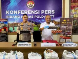 Polda NTT sita 2.590 rokok Ilegal , tersebar di Kabupaten Ngada dan Wilayah Manggarai