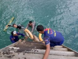 Patroli Gabungan Ditpolairud Polda NTT Gagalkan Perburuan Rusa Ilegal di Pulau Komodo