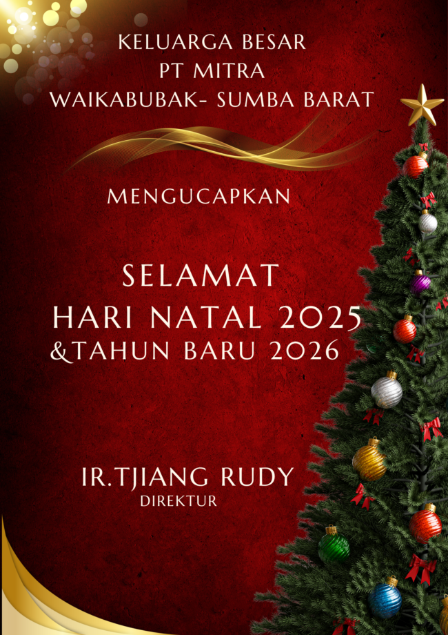 Red And Green Modern Christmas Eve Party Poster 20251223 025202 0000