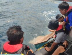 Tim SAR Gabungan Temukan Serpihan Pintu Diduga Milik KM Putri Sakinah di Perairan Pulau Padar