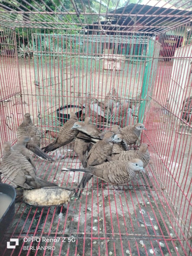 IMG 20260112 WA0000