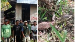 GridArt 20260408 121740922