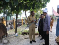 Idul Adha 1447 H, Wagub NTT Salurkan Bantuan Sapi Kurban untuk Jamaah Masjid Al-Muhajirin