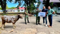 Sambut Iduladha 1447 H, TPK Kupang Salurkan Hewan Qurban untuk Masyarakat Sekitar