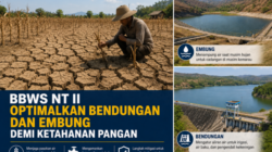 Antisipasi Kekeringan, BBWS NT II Optimalkan Bendungan, Embung dan Sumur Bor Demi Ketahanan Pangan dan ketersediaan air baku bagi masyarakat 4 file 00000000cb8071fabbb35517ce5ceb6b
