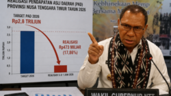 Realisasi PAD NTT Masih Jauh dari Target, Wagub Minta OPD Jangan Bekerja Biasa-Biasa Saja