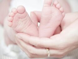 Bayi Perempuan Ditemukan Hidup dalam Kardus di Hutan Amarasi Kabupaten Kupang, Polisi Selidiki Pelaku Pembuangan