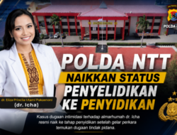 Kasus Dugaan Intimidasi terhadap Dokter Icha Naik ke Tahap Penyidikan, Polda NTT Periksa 35 Saksi dan 5 Ahli