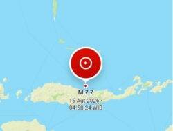 Gempa M7,7 Guncang Flores, BMKG Keluarkan Peringatan Tsunami untuk NTT dan Sejumlah Wilayah