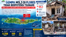 BMKG Catat 4.258 Gempa Susulan Pasca Gempa M7,7 Flores, Aktivitas Diperkirakan Berlangsung hingga 4 Minggu