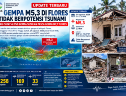 BMKG Catat 4.258 Gempa Susulan Pasca Gempa M7,7 Flores, Aktivitas Diperkirakan Berlangsung hingga 4 Minggu