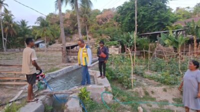 BBWS NT II Tangani Kerusakan Irigasi di Rote Ndao, Puluhan Hektare Sawah Terhindar dari Ancaman gagal panen 8 PPK OP SDA IV BBWS NT II, Lalu Siswandi, S.T., M.T.saat meninjau langsung penanganan irigasi di Kab. Rote Ndao