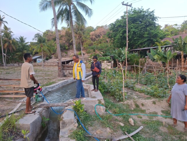 BBWS NT II Tangani Kerusakan Irigasi di Rote Ndao, Puluhan Hektare Sawah Terhindar dari Ancaman gagal panen 1 PPK OP SDA IV BBWS NT II, Lalu Siswandi, S.T., M.T.saat meninjau langsung penanganan irigasi di Kab. Rote Ndao